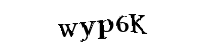 Please type the letters and numbers below