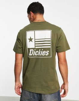 Diclies Green Tshirt